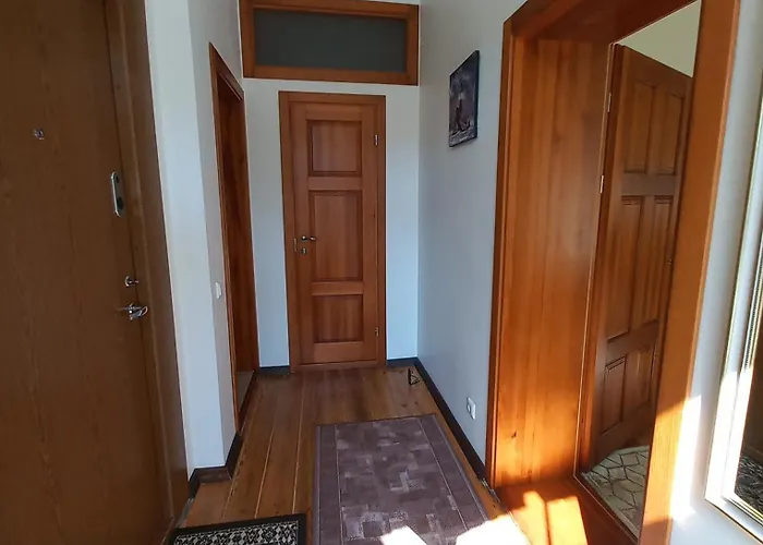 Under The Maple * Klaipėda